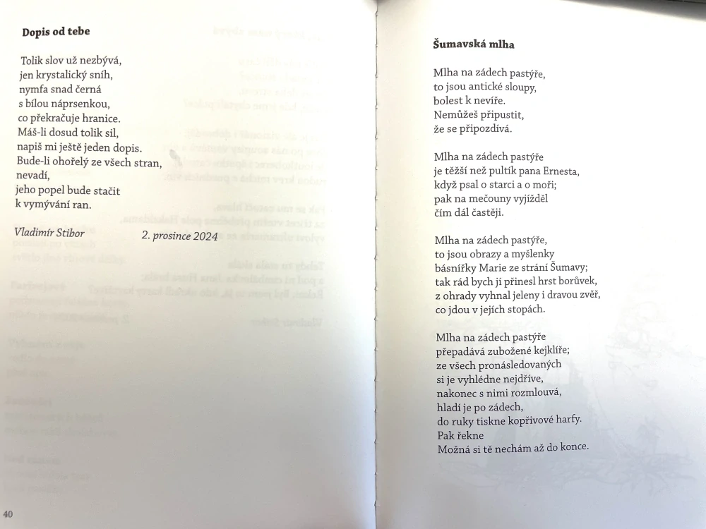 Vladimír Stibor - Stébla sopečného původu